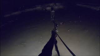 April Bowfishing In Michigan [upl. by Roid]