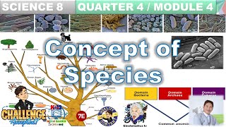 Concept of Species Science 8 Quarter 4 Module 4 Taxonomy Classification DomainsKingdomSpecies [upl. by Ellehsal696]