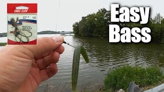 Easy Bass Fishing for ANYONE  Affordable Fishing for Beginners [upl. by Launce476]