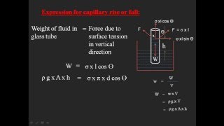 Capillarity [upl. by Aneeram971]