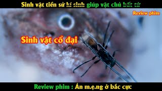 Sinh vật tiền sử có khả năng tái tạo cơ thể trở thành bất tử  Review phim [upl. by Deeyn]