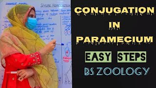 Conjugation in Paramecium  Sexual reproduction in Cilates  Simple Steps  Bs Zoology  UrduHindi [upl. by Nomor129]