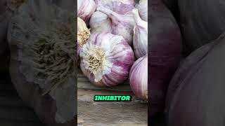 How Garlic Can Lower Blood Pressure [upl. by Effie]