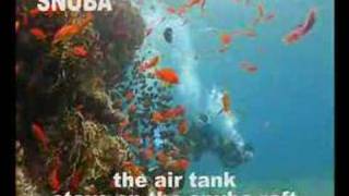 snuba diving in eilat israel [upl. by Leuas]