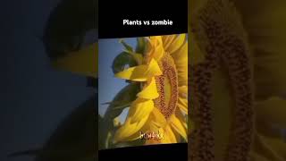 Plantas vs zumbi na vida real [upl. by Tarrah]