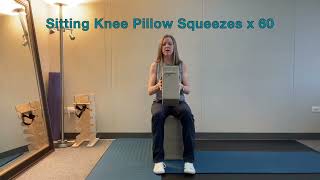 Sitting Knee Pillow Squeezes [upl. by Favianus]