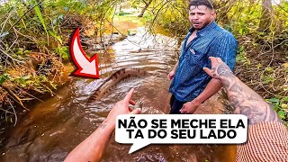 AI MEU DEUS…NUNCA ANDE NO RIO DA ANACONDA🚫VAMOS DEIXAR ELA EM PAZ…🚫 sucuri gigante [upl. by Hughett]