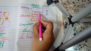 BACTERIAL CONJUNCTIVITIS part 1 MUCOPURULENT CONJUNCTIVITIS in easiest way [upl. by Aninep]