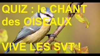 Les chants doiseaux  Zénith FM vivelesSVTcom [upl. by Astraea132]