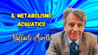 Il metabolismo acquatico secondo Raffaele Morelli [upl. by Benyamin13]