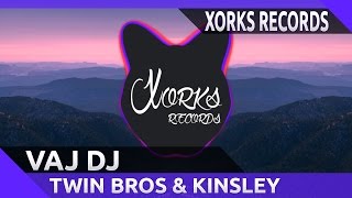 Twin Bros amp Kinsley  Vaj Dj Tarraxo Flex [upl. by Aivatnuhs861]