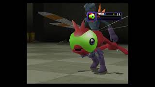 Pokémon colosseum 7 Le vieux colissée de Pyrite [upl. by Helbon594]