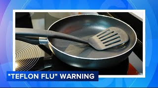 What is Teflon flu [upl. by Dressel]