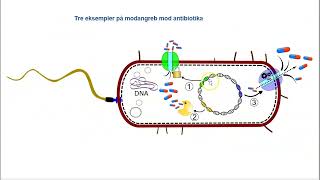 Resistente bakterier [upl. by Atinahs]