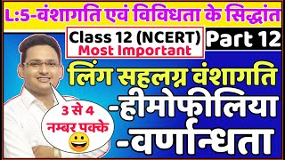 लिंग सहलग्न वंशागति  हेमोफिलिया  वर्णान्धता Class 12 biology L5  haemophilia colour blindness [upl. by Anisirhc738]