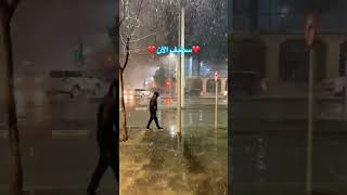 سطيف العالي ويا دلالي 19 ثلوج كثيفة على مدينة سطيف setif sous la neige [upl. by Dachia]