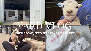 catch ups  wec recap chats baby lambs and geeeee [upl. by Layne]