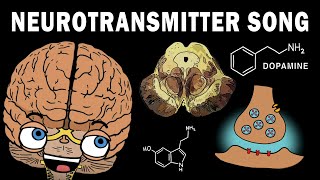 THE NEUROTRANSMITTER SONG [upl. by Toille]