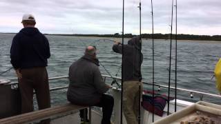 WESTERNPORT FISHING CHARTERS [upl. by Alex470]