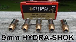 9mm 124 gr Federal HYDRASHOK Ammo Review [upl. by Hellman541]