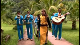 A CRISTO LE VOY 2014 VIDEO OFICIAL BRENDA SOLIS [upl. by Teeter639]