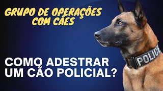 Como adestrar um cachorro policial Rotina de treinamento dos cães gcm cachorro [upl. by Recor414]