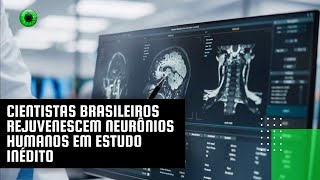 Cientistas brasileiros rejuvenescem neurônios humanos em estudo inédito [upl. by Acira]