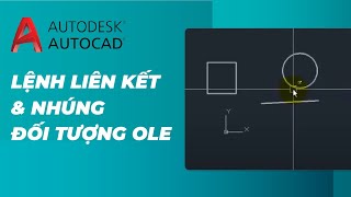 Lệnh Liên Kết Và Nhúng Đối Lượng OLE Trong Phần Mềm Autocad [upl. by Dillie]