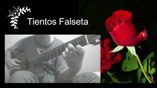 Tientos Flamenco Guitar Falseta  ティエントス ファルセータ [upl. by Elorak]