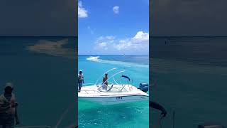 😍 Barbados 7 Best Sightseeing Things to do😍barbados caribbean travel shorts travelvlog beach [upl. by Choo]