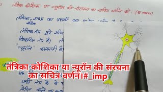 तंत्रिका कोशिका या न्यूरॉन की संरचना का सचित्र वर्णन। [upl. by Daitzman]