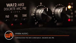 Recording Vocals Guitar  More with the WA87 R2 Condenser MicrophoneWA12 MKII Mic Preamp [upl. by Ahsat]