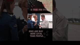 Dogs are way more loyal than people palma shortsvideo shorts [upl. by Trotta266]