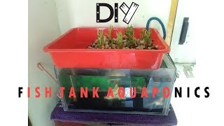 DIY Aquaponics fish tank How to reuse existing fish tank into aquaponics system in 5 [upl. by Esinaej31]