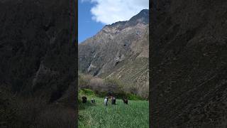 The Last Tibetan Village of Gorkha  Tsum Valley amp Larkey Pass  Manaslu Circuit Trek [upl. by Lodovico861]