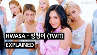 HWASA  멍청이 TWIT Explained by a Korean [upl. by Florinda574]