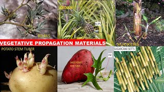 Vegetative Propagation Materials [upl. by Otsedom]