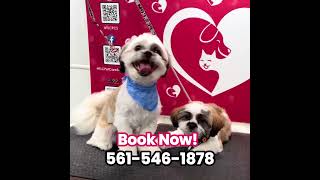 Mobile Pet Grooming in Palm Beach County [upl. by Nalod]