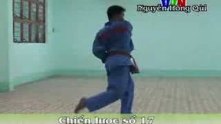 Chien Luoc n° 17  Vovinam Viet Vo Dao Teaching Program [upl. by Oicnerolf]