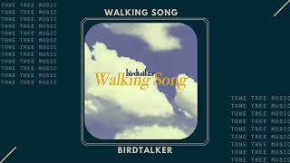 Birdtalker  quotWalking Songquot  Tone Tree Music indieartist indiealternative musicvideo [upl. by Veedis]