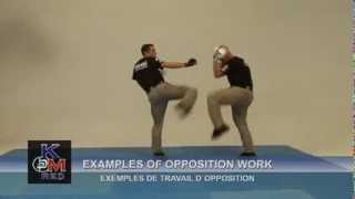 Krav Maga RED Research Evolution and Development [upl. by Eitisahc]