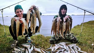 PESCA DE PEJERREY DE COSTA  PEJERREYES GRANDES DE FONDO EN LAGUNA BLANCA CHICA  TAMAÑO MADARIAGA [upl. by Nylareg]