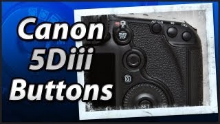 Canon 5Diii  External Buttons  Training Tutorial Manual Video [upl. by Adnilema]