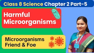 Part 5  Harmful Microorganisms  Microorganisms Friend and Foe  Class 8 Science Chapter 2 [upl. by Dleifrag]