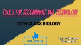 Tools for Recombinant DNA technology 12thbiology biology technology [upl. by Eziechiele602]