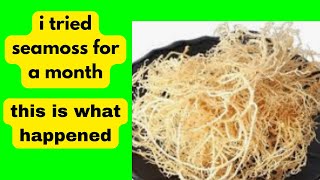 I TOOK SEA MOSS EVERY DAY FOR A MONTH – HERES WHAT HAPPENED [upl. by Caty]