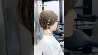 美容師美容室ショートボブボブショートショートカットショートヘアー多毛多毛ショート癖毛癖毛ショート表参道美容室表参道美容師 [upl. by Ingmar]