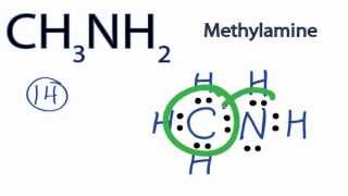 CH3NH2 Lewis Structure How to Draw the Lewis Structure for CH3NH2 [upl. by Calie873]