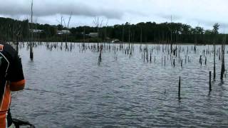 MANASQUAN RESERVOIR NJ THE BASS COLLEGE [upl. by Udenihc]