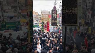 safed Tazia Delhi 2024 moharram safedtaziya imamhussain [upl. by Iruy980]